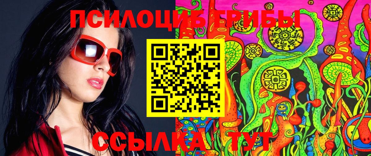 Каменск-Уральский  Галлюциногенные грибы Psilocybe  Вход с VPN 