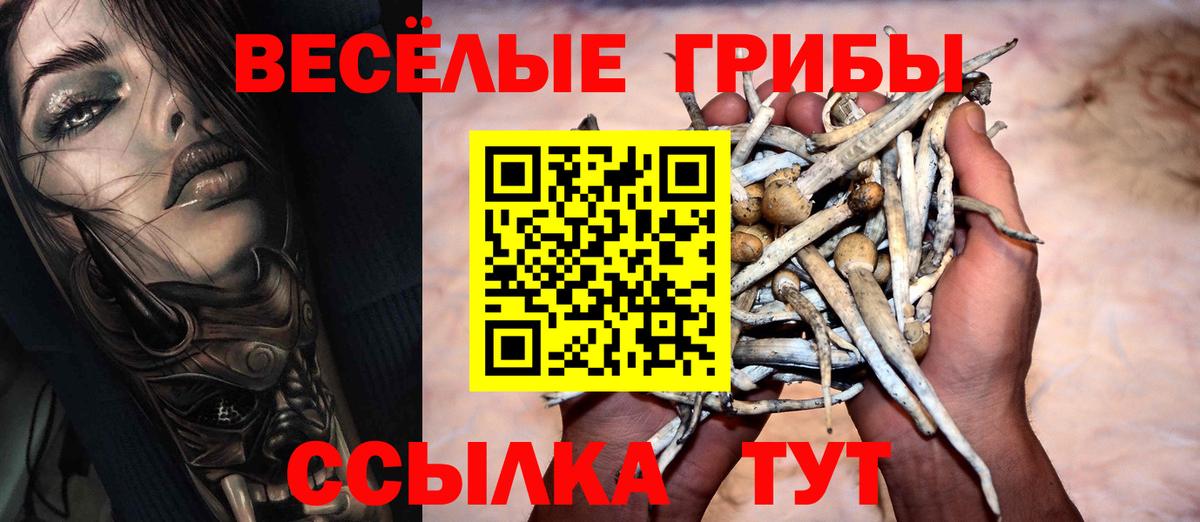 Псилоцибиновые грибы прущие грибы Каменск-Уральский